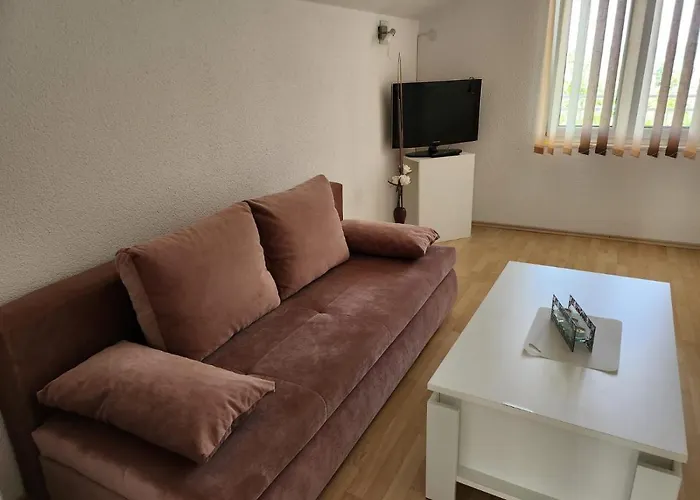 Apartment Tunjic *